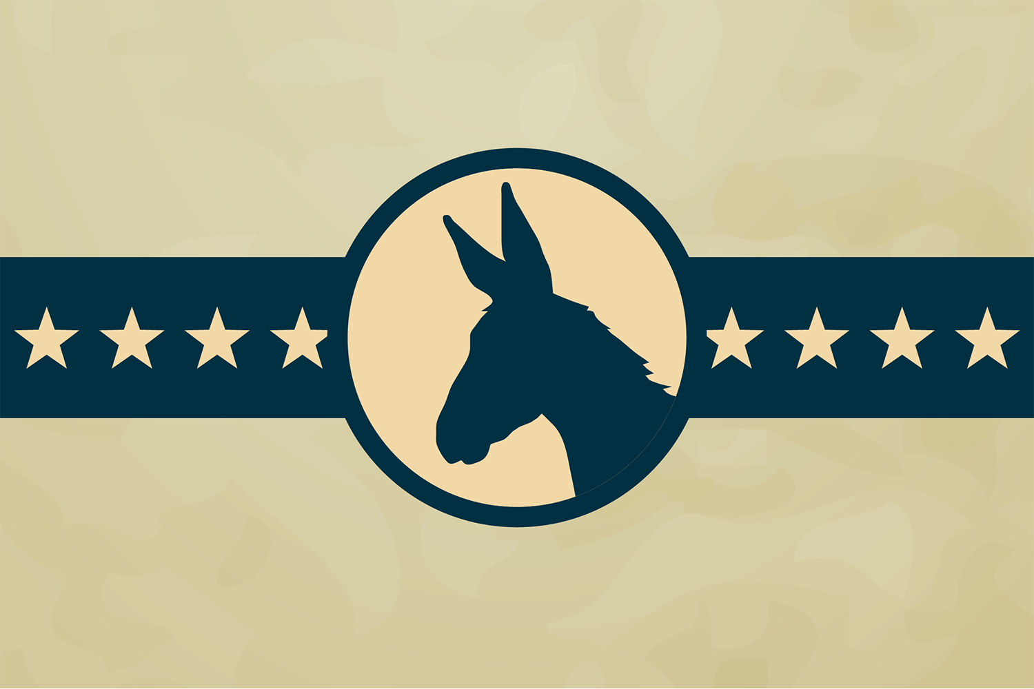 donkey_stars-blog post